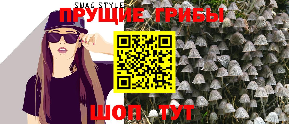 Галлюциногенные грибы MAGIC MUSHROOMS  Вход с VPN  Псилоцибиновые грибы прущие грибы  Нововоронеж 
