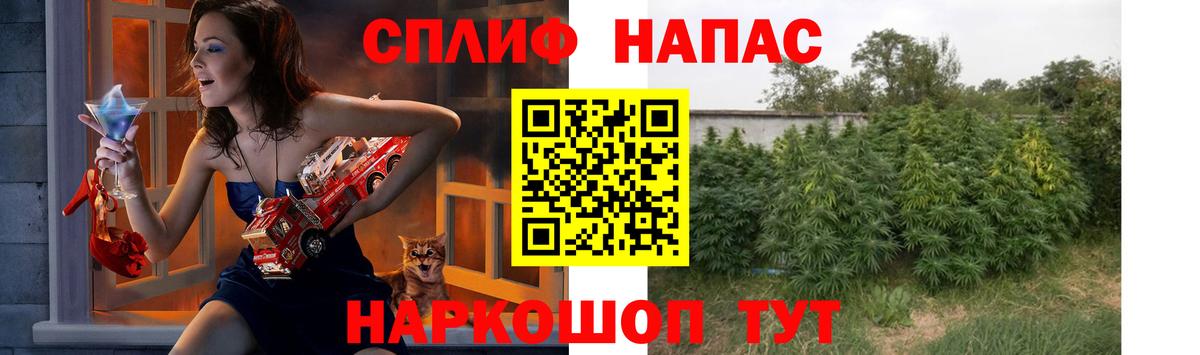 Бошки марихуана THC 21% Нововоронеж